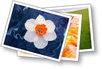 Card image cap