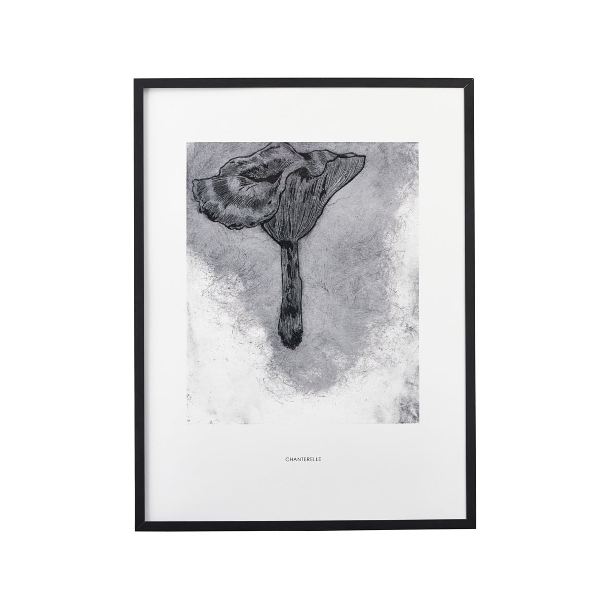 House Doctor (PI) House Doctor Illustration, Chanterelle, sort, 30x40